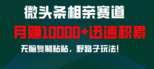 微头条相亲赛道，迅速积累，无脑复制粘贴，野路子玩法，月入1w-创客聚集地