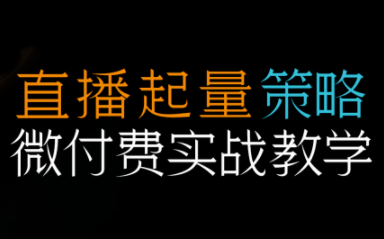 半野老师·直播带货起量与微付费必学课视频号-创客聚集地