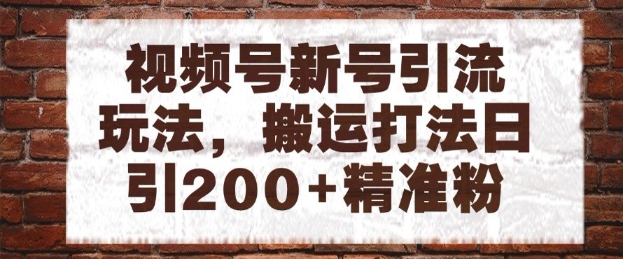 视频号新号引流玩法，搬运打法日引200+精准粉，可矩阵放大【揭秘】-创客聚集地