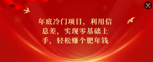 年底冷门项目，利用信息差，实现零基础上手，轻松赚个肥年钱【揭秘】-创客聚集地