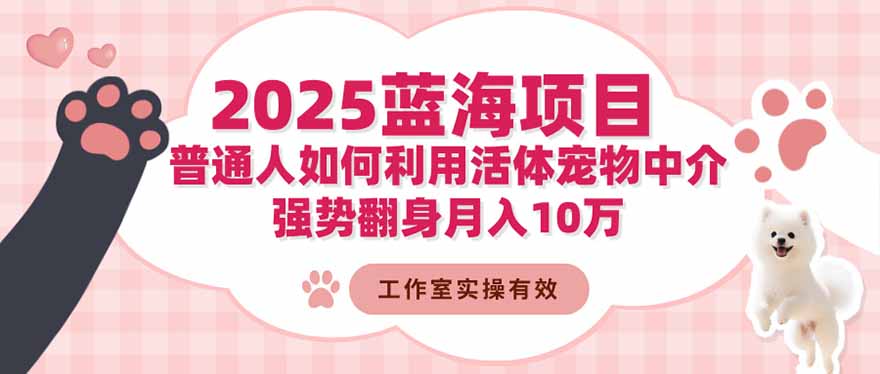 2025蓝海项目：普通人如何利用活体宠物中介，强势翻身月入10万-创客聚集地