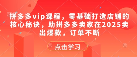 拼多多vip课程，零基础打造店铺的核心秘诀，助拼多多卖家在2025卖出爆款，订单不断-创客聚集地