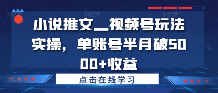 小说推文—视频号玩法实操，单账号半月破5000+收益-创客聚集地