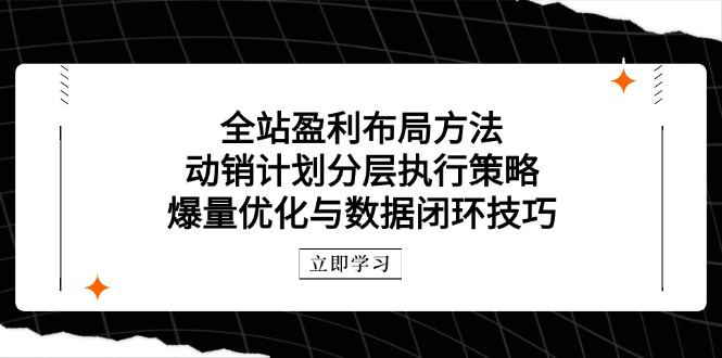 全站盈利布局方法：动销计划分层执行策略，爆量优化与数据闭环技巧-创客聚集地