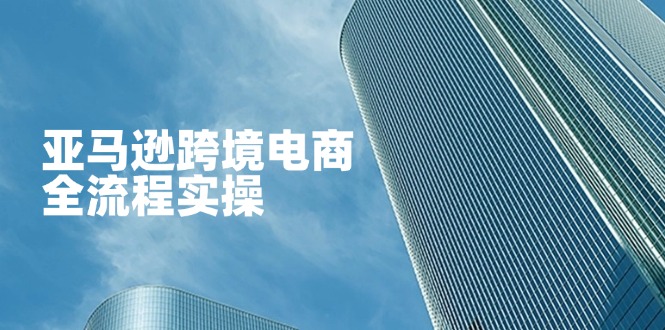 亚马逊跨境电商全流程实操，教你从零开始，掌握店铺运营与广告技巧-创客聚集地