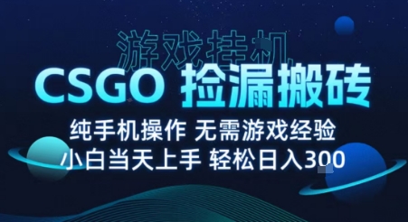 8月最新游戏搬砖，CSGO纯挂G，不需要玩游戏，实现真挂G，月入1W+【揭秘】-创客聚集地