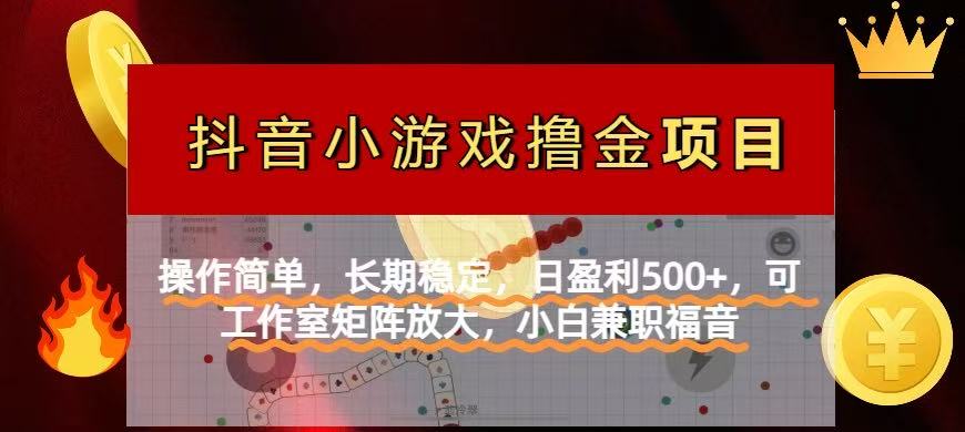 【抖音小游戏发行人计划项目】操作简单，长期稳定，日盈利500+，可工作…-创客聚集地