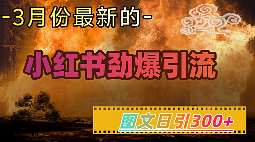 小红书超劲爆引流手段，图文日引300+轻松变现1W-创客聚集地