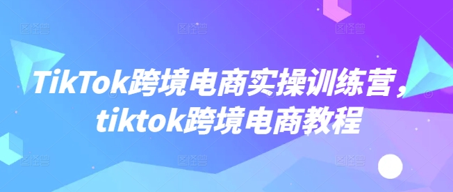 TikTok跨境电商实操训练营，tiktok跨境电商教程-创客聚集地