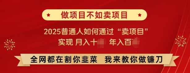 必看，做项目不如卖项目，2025普通人如何通过“卖项目”实现月入十个，年入百个-创客聚集地