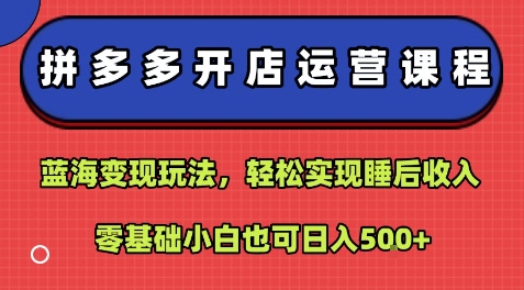 拼多多开店运营课程：蓝海变现玩法，轻松实现睡后收入，零基础小白也可日入5张-创客聚集地