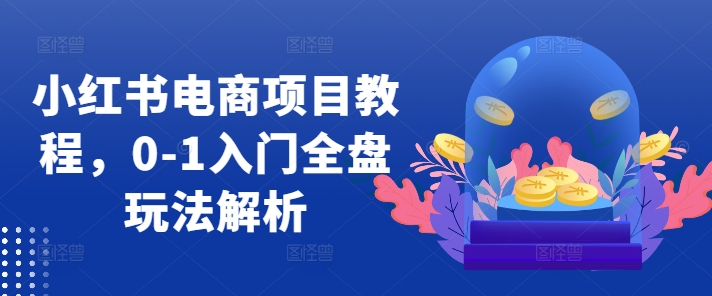 小红书电商项目教程，0-1入门全盘玩法解析-创客聚集地