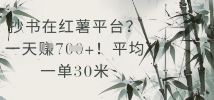 抄书在小红薯平台？平均一单30米，一天收益几张！-创客聚集地
