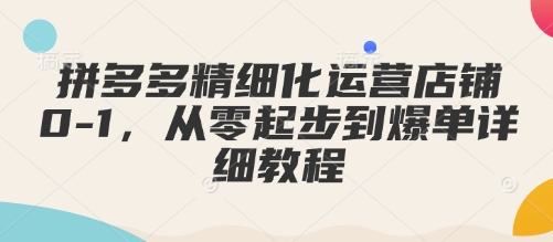 拼多多精细化运营店铺0-1，从零起步到爆单详细教程-创客聚集地