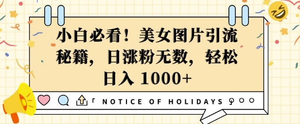 小白必看，美女图片引流秘籍，日涨粉无数，轻松日入几张【揭秘】-创客聚集地