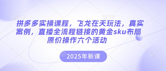 拼多多实操课程，飞龙在天玩法，真实案例，直播全流程链接的黄金sku布局原价操作六个活动-创客聚集地
