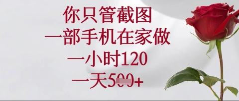 你只管截图，一部手机在家操作，一小时120.一天5张【揭秘】-创客聚集地