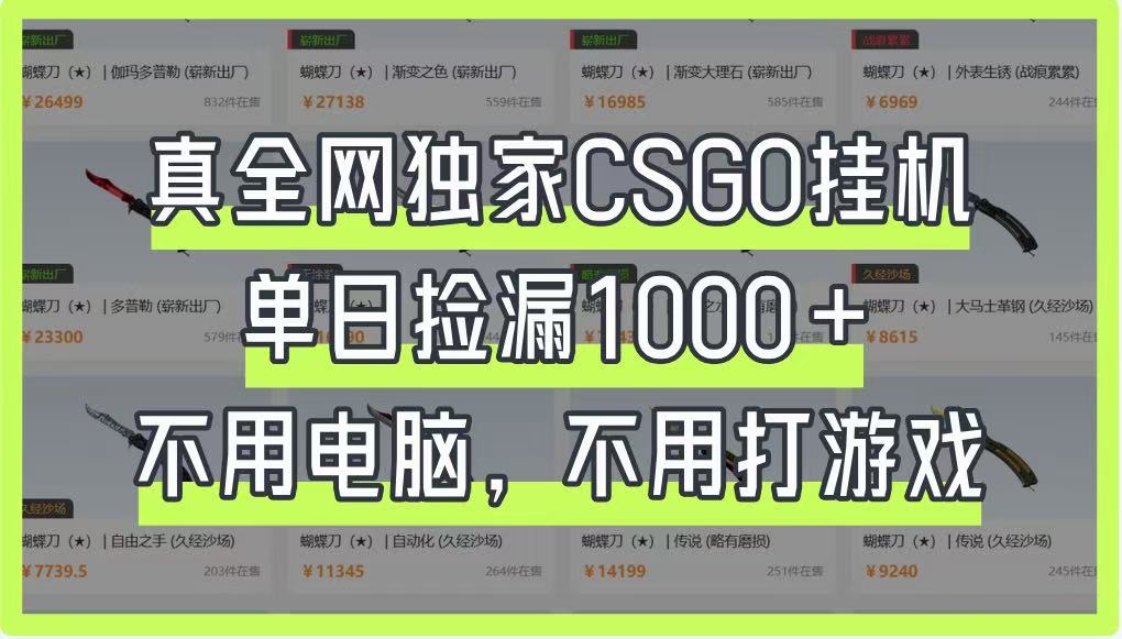 真全网独家CSGO挂机，单日捡漏1000+，不用电脑，不用养号-创客聚集地