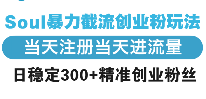 Soul暴力截流创业粉玩法，当天注册当天进流量，日稳定300+精准创业粉丝-创客聚集地
