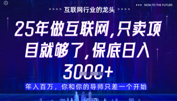 什么！25年你还在找项目做？风口早就变了，卖项目才是稳挣不赔【揭秘】-创客聚集地