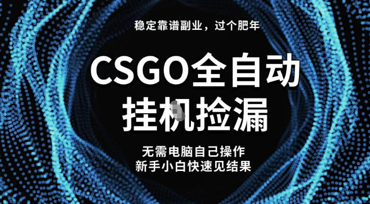 【稳定副业】全球最热门游戏CSGO全自动捡漏，最新玩法，新手小白日入5张+【揭秘】-创客聚集地
