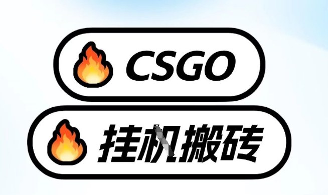真全网独家CSGO挂G，最新玩法,单日捡漏1K+，不用电脑，不用打游戏【揭秘】-创客聚集地