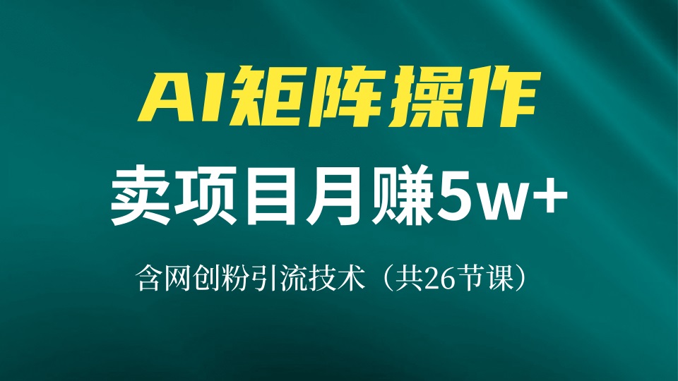 网创IP打造课，借助AI卖项目月赚5万+，含引流技术(共26节课-创客聚集地