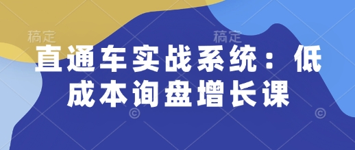 直通车实战系统：低成本询盘增长课，让个人通过技能实现升职加薪，让企业低成本获客，订单源源不断-创客聚集地