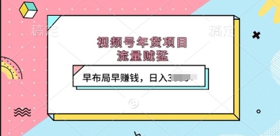 视频号年货项目，流量贼猛，早布局早挣钱，日入上k【揭秘】-创客聚集地