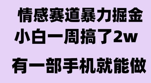 情感暴力掘金项目，新人操作一周挣了2W，长期稳定小白可做【揭秘】-创客聚集地