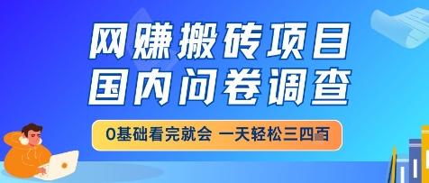 网创搬砖项目，国内问卷调查，小白轻松上手，一天三四张的也不难，干就完了【揭秘】-创客聚集地