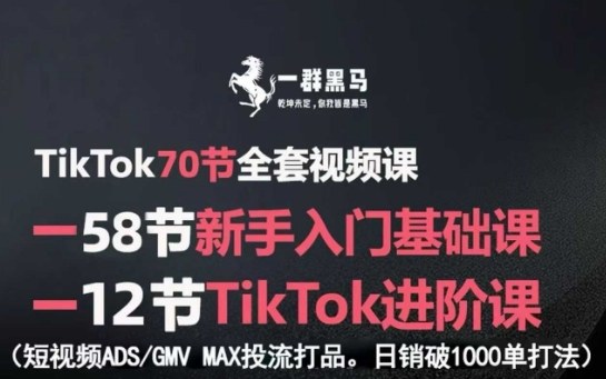 TikTok全套视频课，新手入门+进阶课，短视频ADS-GMV MAX投流打品，日销破1000单打法-创客聚集地