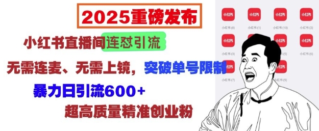 2025重磅发布：小红书直播间连怼引流，无需连麦、无需上镜，突破单号限制，暴力日引流600+-创客聚集地