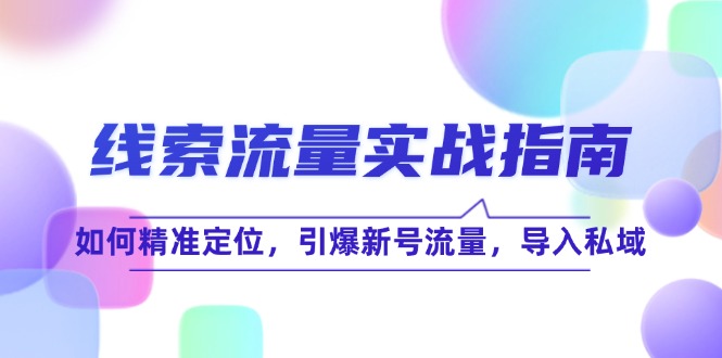线 索 流 量-实战指南：如何精准定位，引爆新号流量，导入私域-创客聚集地
