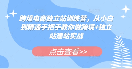 跨境电商独立站训练营，从小白到精通手把手教你做跨境+独立站建站实战-创客聚集地