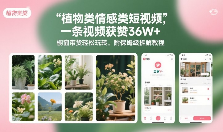 植物类情感类短视频，一条视频获赞36W+，橱窗带货轻松玩转，附保姆级拆解教程-创客聚集地