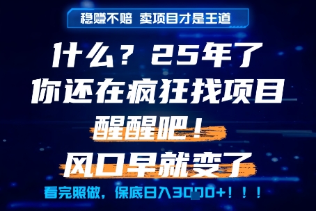什么？25年你还在疯狂找项目做，醒醒吧，看完这些你全都懂了！【揭秘】-创客聚集地