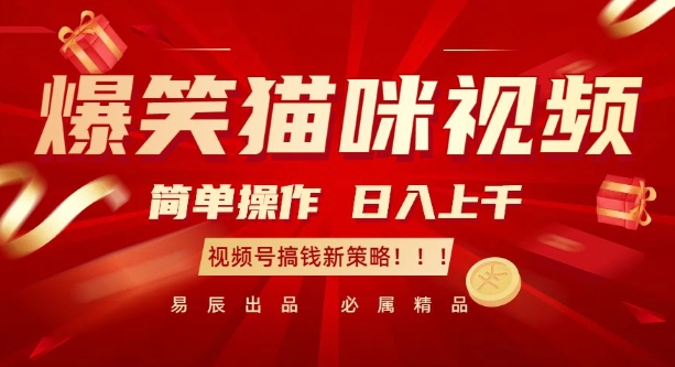 爆笑猫咪视频：简单操作，日入过K，视频号搞钱新策略【揭秘】-创客聚集地