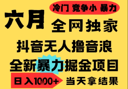 25年6月高爆抖音无人直播最新撸音浪掘金项目，小白可做，无脑日入1k+，门槛低可批量矩阵【揭秘】-创客聚集地