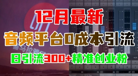 12月最新：音频平台0成本引流，日引流300+精准创业粉-创客聚集地