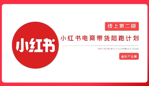 2025小红书虚拟电商实战课，从0到1打造无货源店铺，AI+爆款笔记轻松变现-创客聚集地