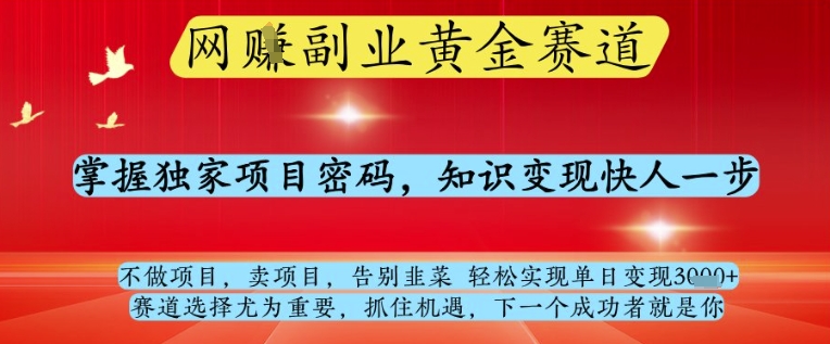 网创副业黄全赛道，掌握独家项目密码，知识变现快人一步，告别韭菜轻松实现单日变现1k+【揭秘】-创客聚集地