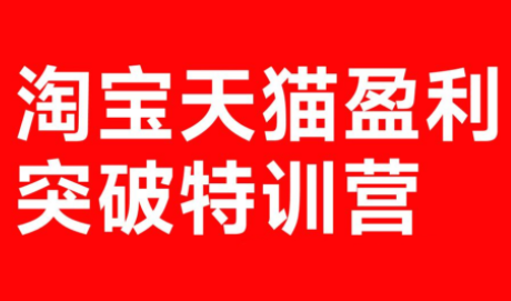 玺承·淘宝天猫盈利突破特训营(25年12月线下课)【音频+字幕】-创客聚集地