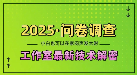 2025问卷调查最新工作室技术解密：一个人在家也可以闷声发大财，小白一天2张，可矩阵放大【揭秘】-创客聚集地