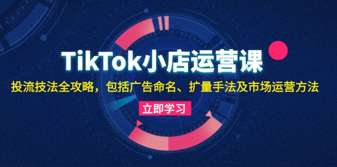 TikTok小店运营课：投流技法全攻略，包括广告命名 扩量手法及市场运营方法-创客聚集地