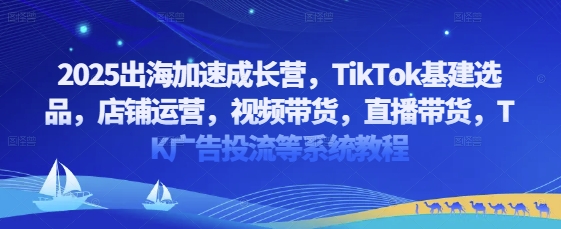 2025出海加速成长营，TikTok基建选品，店铺运营，视频带货，直播带货，TK广告投流等系统教程-创客聚集地
