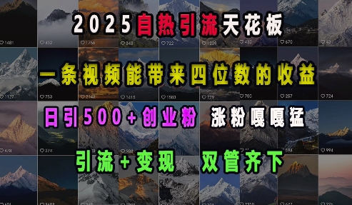 2025自热引流天花板，一条视频能带来四位数的收益，引流+变现双管齐下，日引500+创业粉，涨粉嘎嘎猛-创客聚集地
