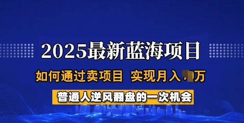2025蓝海项目，普通人如何通过卖项目，实现月入过W，全过程【揭秘】-创客聚集地
