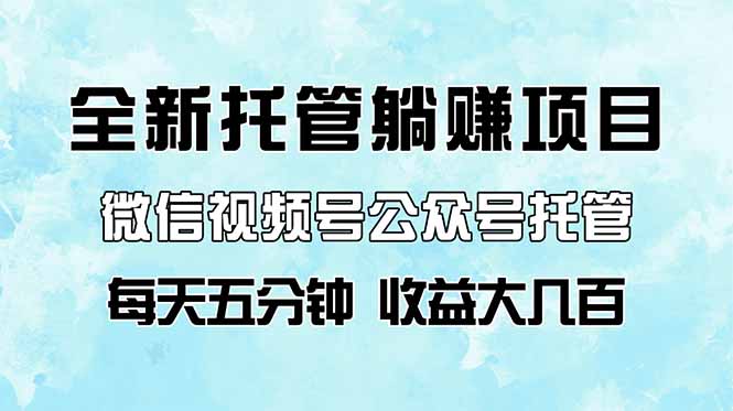 全新托管躺赚项目，微信视频号公众号托管代运营，每天五分钟，收益大几百-创客聚集地