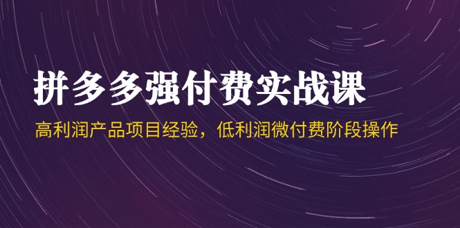 拼多多强付费实战课-44期，高利润产品项目经验，低利润微付费阶段操作-创客聚集地
